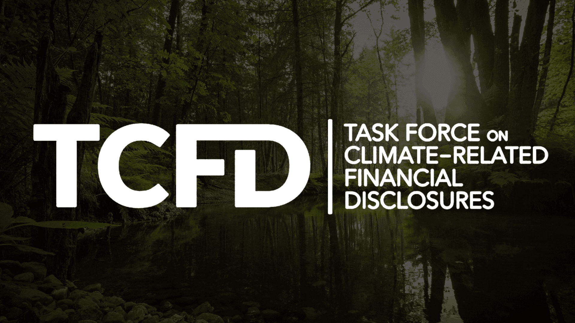 İFE TCFD Tavsiyelerini Destekliyor